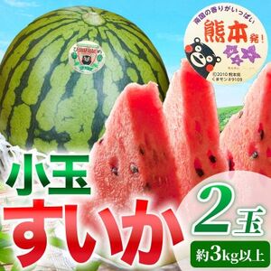 小玉すいか 2玉入り 3Lサイズ 約3kg以上(益城町)【1684316】