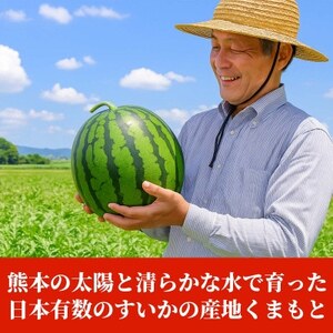大玉すいか 2玉入り L以上 約10kg以上(益城町)【1684331】