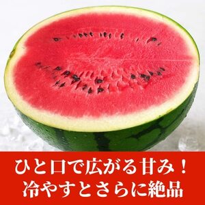 大玉すいか 1玉入り 3L以上 約8kg以上(益城町)【1684336】