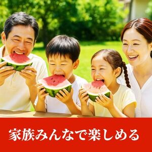 大玉すいか 2玉入り 3L以上 約16kg以上(益城町)【1684342】