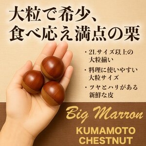 生栗 大粒 2L以上 約2kg(益城町)【配送不可地域：離島】【1687206】