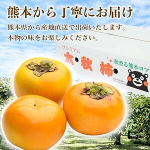 太秋柿 16～30玉 約6kg(益城町)【配送不可地域：離島】【1687216】