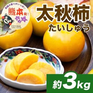 太秋柿 8~15玉 約3kg(益城町)【配送不可地域:離島】【1687212】