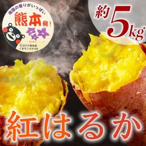 紅はるか さつまいも 約5kg(益城町)【1689367】