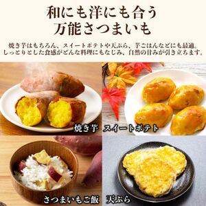 シルクスイート さつまいも 約5kg(益城町)【1689373】