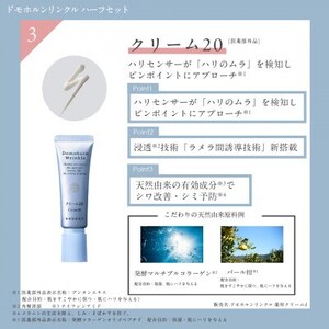 ドモホルンリンクル 基本4点ハーフセット【1698174】