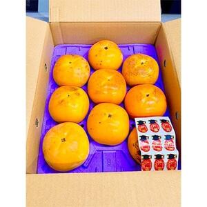 熊本県益城町産 太秋柿 約2kg入り(益城町)【配送不可地域：離島】【1713793】