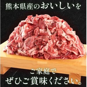 熊本県産 GI認証取得 くまもとあか牛 切り落とし 合計1kg(益城町)【配送不可地域：離島】【1715857】