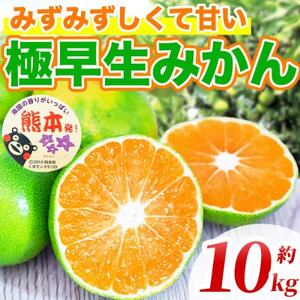 極早生みかん 2S~2L 約10kg(益城町)【1725632】