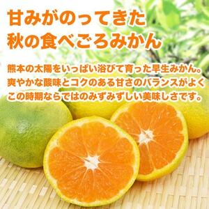 早生みかん 2S～2L 約3kg(益城町)【1725636】