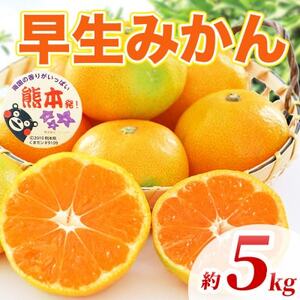 早生みかん 2S～2L 約5kg(益城町)【1725648】