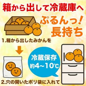 早生みかん 2S～2L 約5kg(益城町)【1725648】