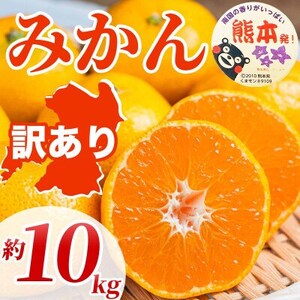 みかん 訳あり サイズミックス 3S～3L 約10kg(益城町)【1726316】
