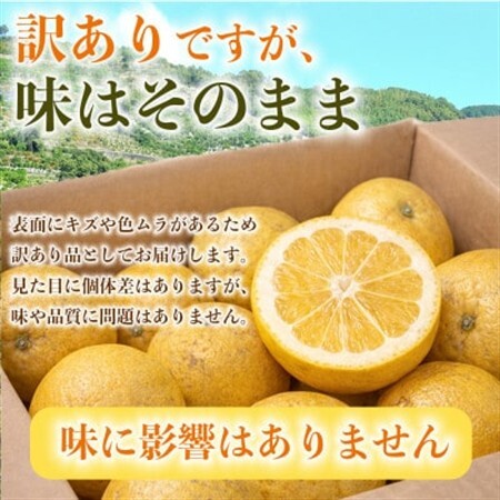 河内晩柑(ジューシーオレンジ)みかん 訳あり 約4kg(益城町)【1726321】