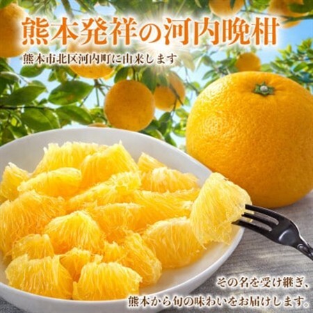 河内晩柑(ジューシーオレンジ)みかん 訳あり 約4kg(益城町)【1726321】