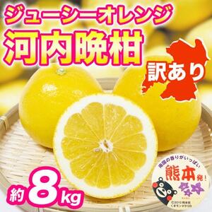 河内晩柑(ジューシーオレンジ)みかん 訳あり 約8kg(益城町)【1726323】