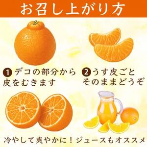 不知火 デコみかん(デコポンと同品種)5～9玉 約2kg(益城町)【1726325】