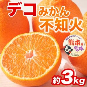 不知火 デコみかん(デコポンと同品種)6～13玉 約3kg(益城町)【1726326】