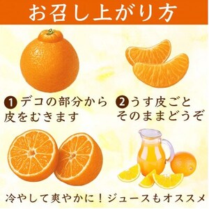 不知火 デコみかん(デコポンと同品種)18～37玉 約8kg(益城町)【1726329】