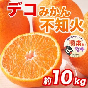 不知火 デコみかん(デコポンと同品種)24～48玉 約10kg(益城町)【1726331】