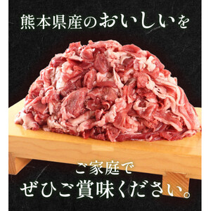 熊本県産 GI認証取得 くまもとあか牛 切り落とし 合計1kg【益城町】【配送不可地域:離島】【1113935】