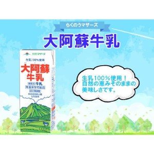 大阿蘇牛乳 1000ml×6本【1148367】
