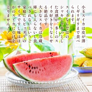 小玉スイカ 2玉入り(益城町)【配送不可地域：離島】【1388558】