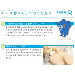 KUMAMOTOモッツァレラ 100g×6個セット【配送不可地域：離島】【1391356】