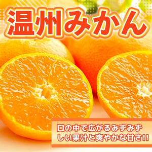 益城町産　温州みかん　約7kg【1422256】