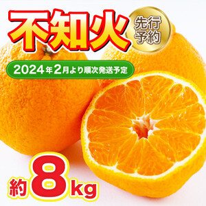 益城町産　不知火　約8kg【1425353】