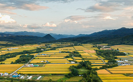 米 ゆめぴりか 5kg 北海道産 令和7年 北海道産ゆめぴりか お米 こめ コメ 精米 白米 ご飯 特A 特a米 ブランド米 北海道米 伊藤興農園 北海道 芦別市