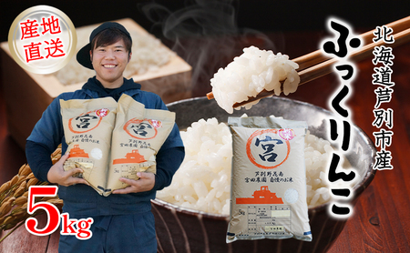 米 令和7年産 ふっくりんこ 5kg 宮田農園 北海道 令和7年産  お米 5キロ ご飯 白米 精米 北海道米 産地直送 送料無料 芦別市 こめ おこめ コメ ごはん 2025年 2025 令和7年