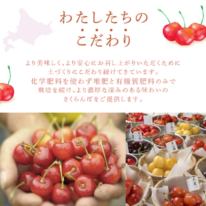 【 先行受付 】さくらんぼ 南陽 月山錦 1kg 各500g×1パック 大橋さくらんぼ園 サクランボ チェリー 果物 果物類 フルーツ デザート 最高級 黄色 大粒 甘い さわやかな酸味 北海道 芦別市 