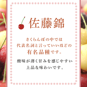 【 先行受付 】さくらんぼ 佐藤錦 2kg 500g×4パック 大橋さくらんぼ園 農林水産大臣賞 受賞 サクランボ チェリー 果物 果物類 フルーツ デザート 有名品種 人気 甘味 上品