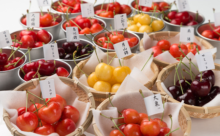 【 先行受付 】さくらんぼ さくらんぼの玉手箱 6種類セット 晩夏 ※品種指定不可 果物類 フルーツ チェリー 