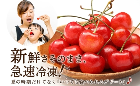 冷凍 さくらんぼ 160g × 3パック 赤ミックス 大橋さくらんぼ園 サクランボ チェリー 果物 果物類 フルーツ デザート 完熟 急速冷凍 新鮮 美味しい 人気 冷凍配送 北海道 芦別市