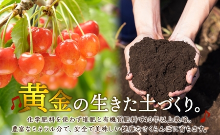 冷凍 さくらんぼ 160g × 6パック 赤ミックス 大橋さくらんぼ園 サクランボ チェリー 果物 果物類 フルーツ デザート 完熟 急速冷凍 新鮮 美味しい 人気 冷凍配送 北海道 芦別市