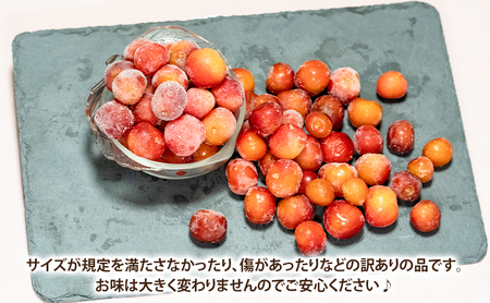 【訳アリ】 冷凍 さくらんぼ 500g × 2パック 大橋さくらんぼ園 サクランボ チェリー 果物 果物類 フルーツ デザート 完熟 急速冷凍 新鮮 美味しい 人気 冷凍配送 北海道 芦別市