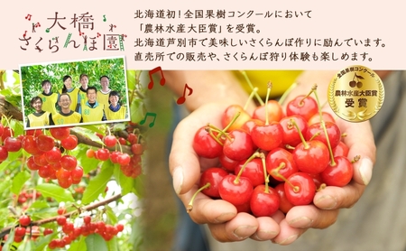 【訳アリ】 冷凍 さくらんぼ 500g × 2パック 大橋さくらんぼ園 サクランボ チェリー 果物 果物類 フルーツ デザート 完熟 急速冷凍 新鮮 美味しい 人気 冷凍配送 北海道 芦別市