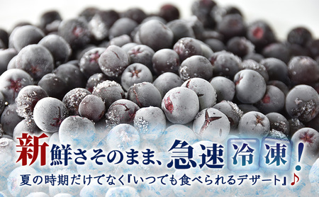冷凍アロニア 500g 冷凍 アロニア 果物 くだもの フルーツ 旬の果物 旬のフルーツ 大橋さくらんぼ園 果物類 フルーツ デザート 完熟 急速冷凍 新鮮 美味しい 人気 冷凍配送 北海道 芦別市