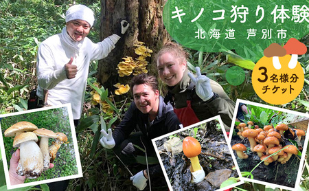 体験 北海道 季節のキノコ狩り 体験チケット 3枚 (3名様分) ioru 体験型 旅行 子供 大人 アクティビティ アウトドア スポーツ ギフト券 チケット 券 きのこ キノコ きのこ鍋 煮物 渓流 芦別市