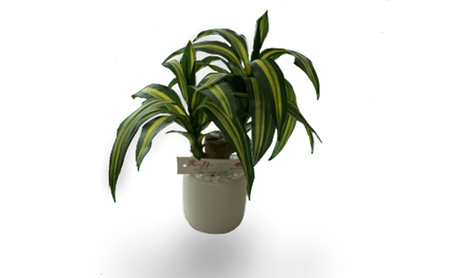 光触媒 造花 ドラセナ 約25cm 観葉植物 フェイクグリーン 抗菌 浄化 消