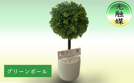 光触媒 造花 グリーンボール 約25cm 観葉植物 フェイクグリーン 抗菌 浄化 消臭 浄化 植物 インテリア おしゃれ フェイク 卓上 人工観葉植物 アートグリーン 北海道 芦別市