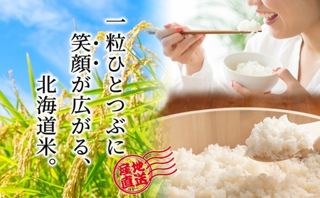 米 令和7年産 えみまる 10kg 8月末発送 農家直送 北海道産 お米 こめ コメ 精米 白米 ご飯 北海道米 ファームなかむら 北海道 芦別市