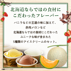 新鮮濃厚ミルク　カウベルアイス5種21個セット_アイスクリーム アイス ジェラート スイーツ デザート 北海道 大樹町 バニラ チョコレート 人気 美味しい ご当地_【配送不可地域：離島】【1460025】