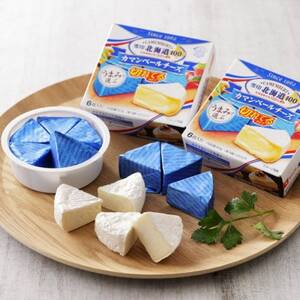 雪印北海道 カマンベールチーズ 切れてるタイプ 1箱(90g(6個入り)×10個)【配送不可地域：離島】【1476010】