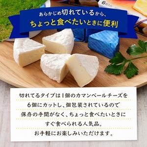 雪印北海道 カマンベールチーズ 切れてるタイプ 1箱(90g(6個入り)×10個)_卵・乳製品 チーズ  _【配送不可地域：離島】【1476010】