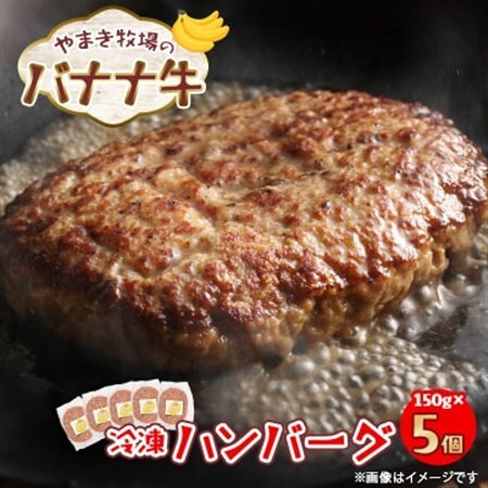 冷凍ハンバーグ150g×5個 交雑牛〈北海道大樹町やまき牧場のバナナ牛〉_肉 ハンバーグ 牛肉 _【配送不可地域：離島】【1507255】