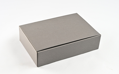 シュー・ア・ラ・グラッセ　8個入り　大樹町産搾りたて牛乳使用_菓子・スイーツ 洋菓子  _【配送不可地域：離島】【1538668】