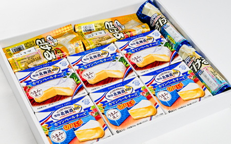 雪印北海道 4種10個 ふるさと納税専用ギフト さけるチーズプレーン・カマンベール等_卵・乳製品 チーズ _【配送不可地域:離島】【1538319】